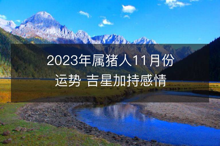 2023年属猪人11月份运势 吉星加持感情运旺