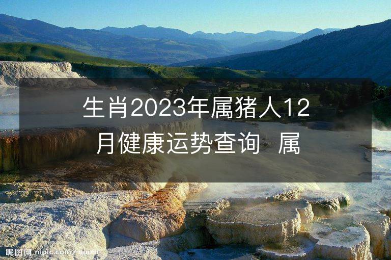 生肖2023年属猪人12月健康运势查询  属猪的人来看看！