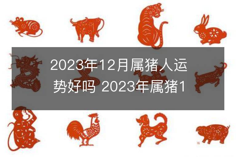 2023年12月属猪人运势好吗 2023年属猪12月运程如何