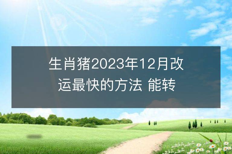 生肖猪2023年12月改运最快的方法 能转大运吗