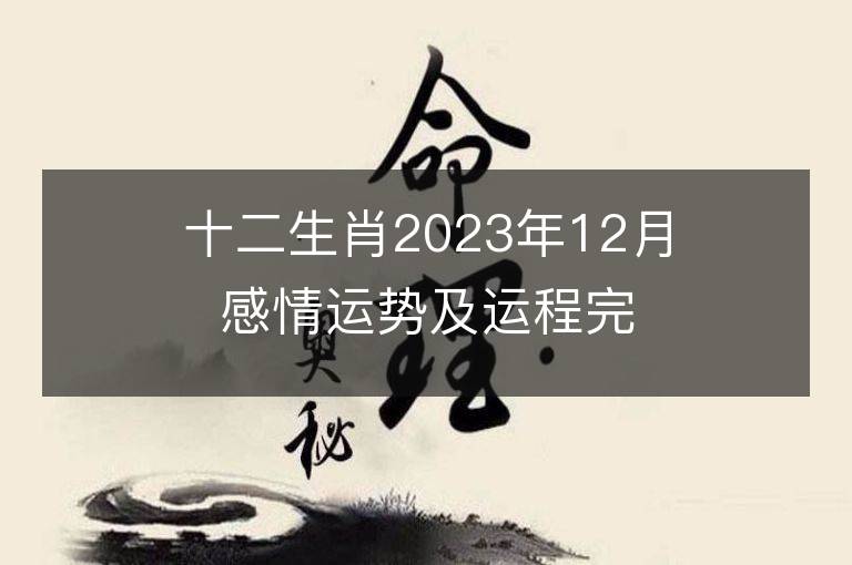 十二生肖2023年12月感情运势及运程完整版