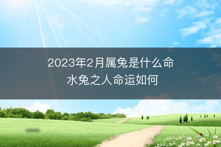 2023年2月属兔是什么命 水兔之人命运如何