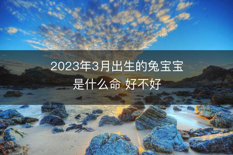 2023年3月出生的兔宝宝是什么命 好不好