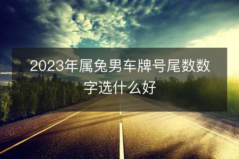 2023年属兔男车牌号尾数数字选什么好