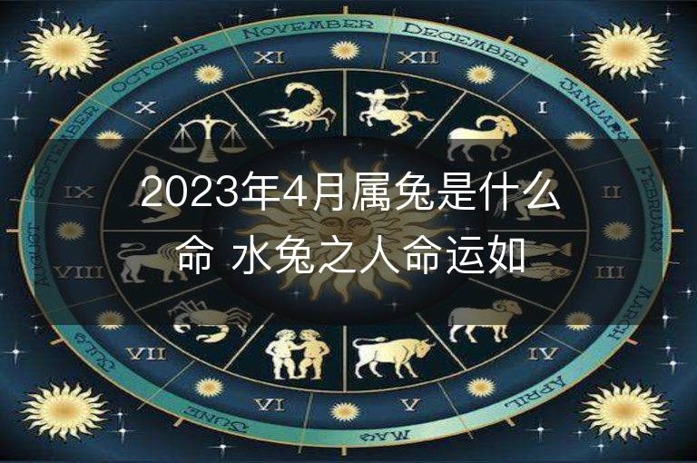 2023年4月属兔是什么命 水兔之人命运如何