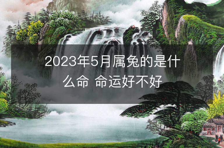 2023年5月属兔的是什么命 命运好不好