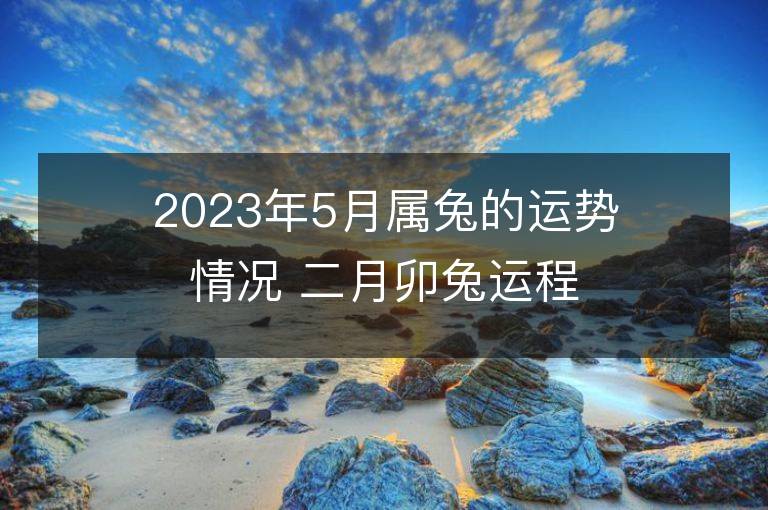 2023年5月属兔的运势情况 二月卯兔运程趋势解说