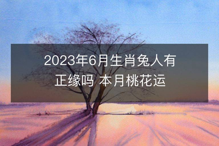 2023年6月生肖兔人有正缘吗 本月桃花运详解