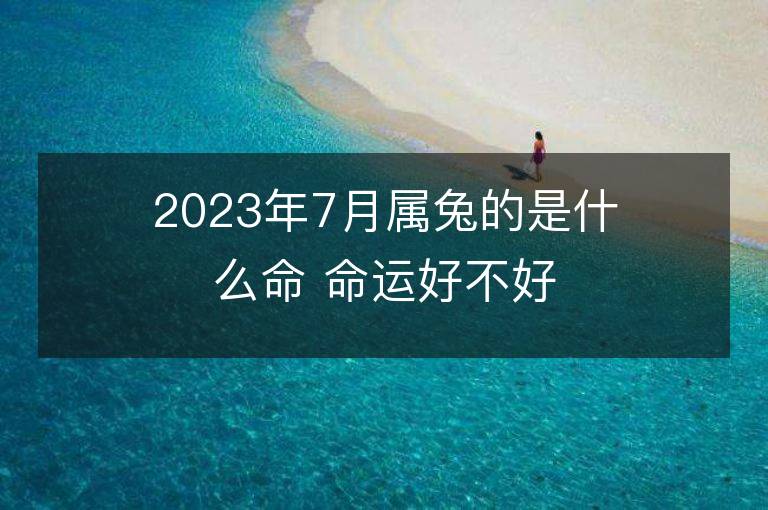 2023年7月属兔的是什么命 命运好不好