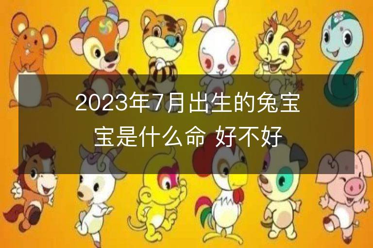 2023年7月出生的兔宝宝是什么命 好不好