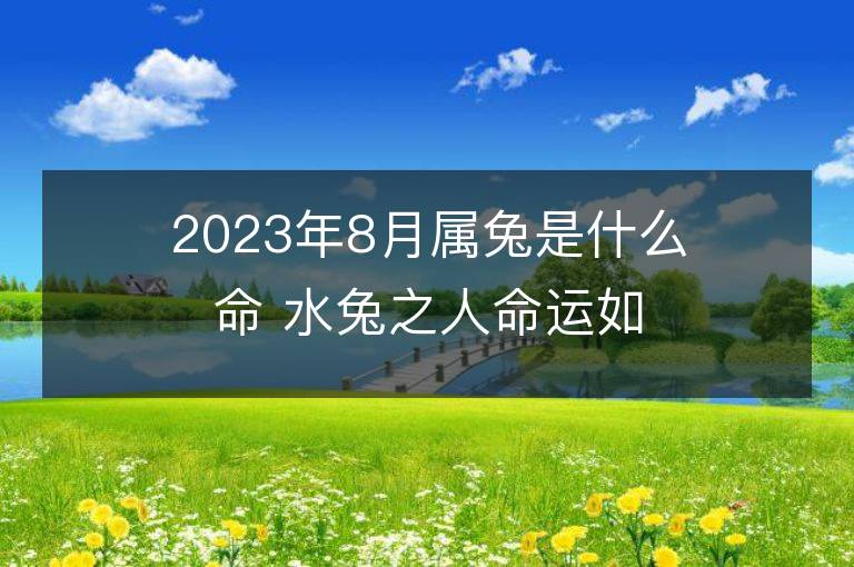 2023年8月属兔是什么命 水兔之人命运如何