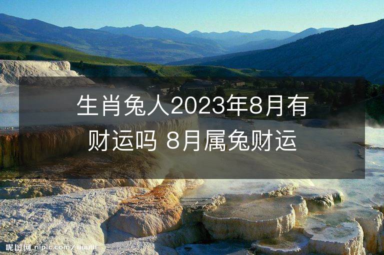 生肖兔人2023年8月有财运吗 8月属兔财运好不好