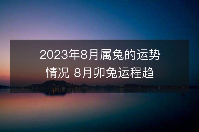 2023年8月属兔的运势情况 8月卯兔运程趋势解说