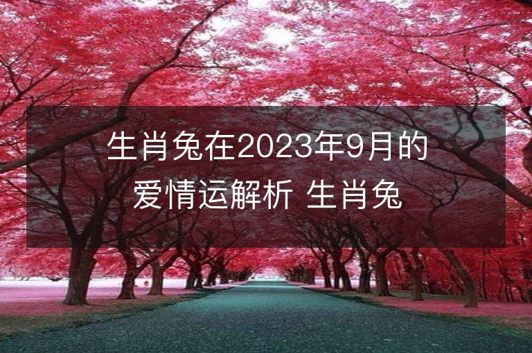 生肖兔在2023年9月的爱情运解析 生肖兔在2023年9月的爱情运解析