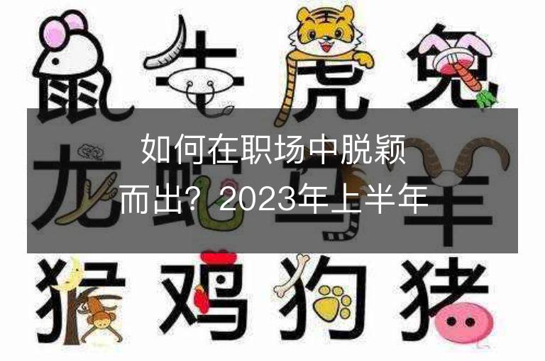 如何在职场中脱颖而出？2023年上半年属兔的男性事业运分析