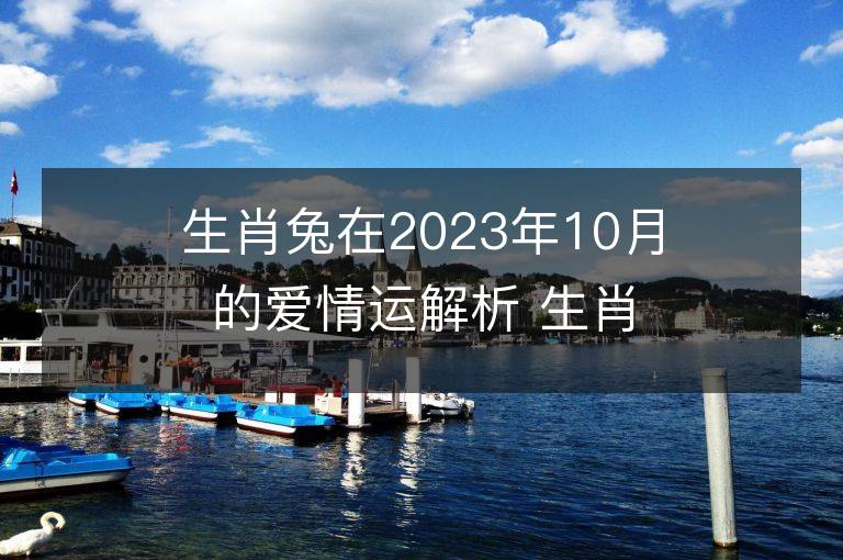 生肖兔在2023年10月的爱情运解析 生肖兔在2023年10月的爱情运解析