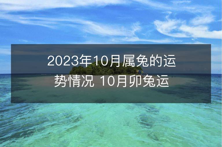 2023年10月属兔的运势情况 10月卯兔运程趋势解说