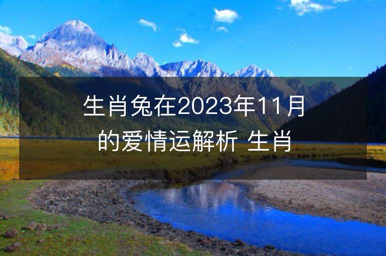 生肖兔在2023年11月的爱情运解析 生肖兔在2023年11月的爱情运解析