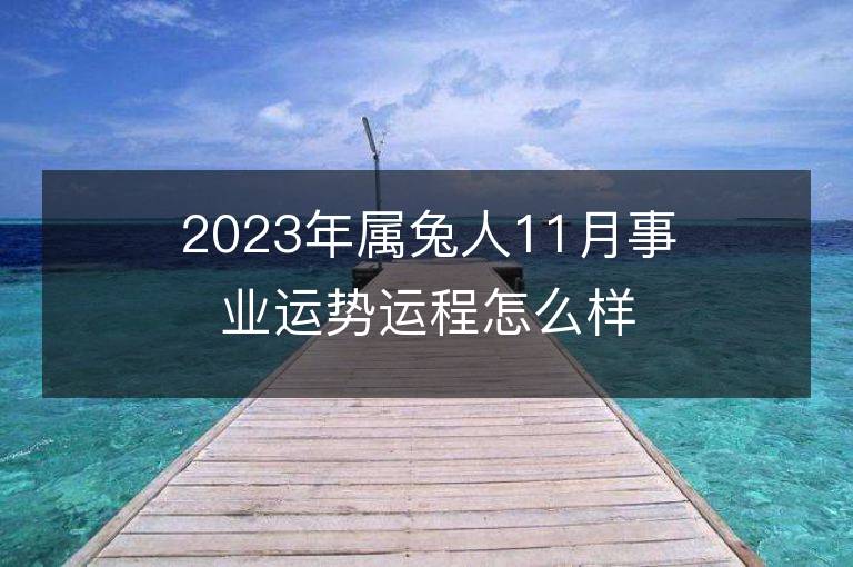 2023年属兔人11月事业运势运程怎么样 最佳事业方位