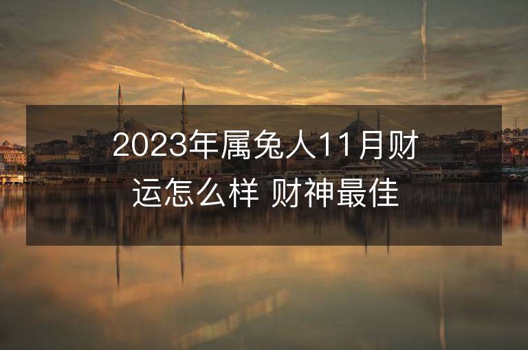 2023年属兔人11月财运怎么样 财神最佳方位