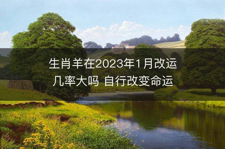 生肖羊在2023年1月改运几率大吗 自行改变命运的方法