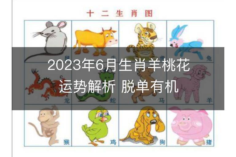 2023年6月生肖羊桃花运势解析 脱单有机会吗