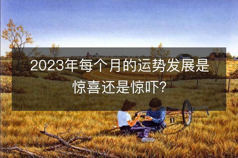 2023年每个月的运势发展是惊喜还是惊吓？