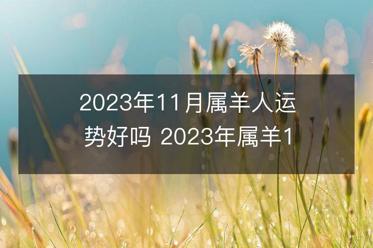 2023年11月属羊人运势好吗 2023年属羊11月运程如何