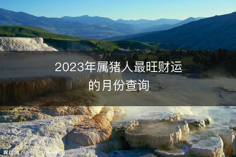 2023年属猪人最旺财运的月份查询