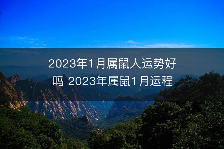 2023年1月属鼠人运势好吗 2023年属鼠1月运程如何