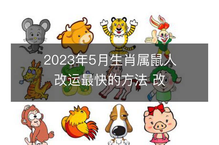 2023年5月生肖属鼠人改运最快的方法 改运招财法运