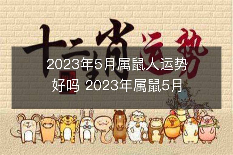 2023年5月属鼠人运势好吗 2023年属鼠5月运程如何