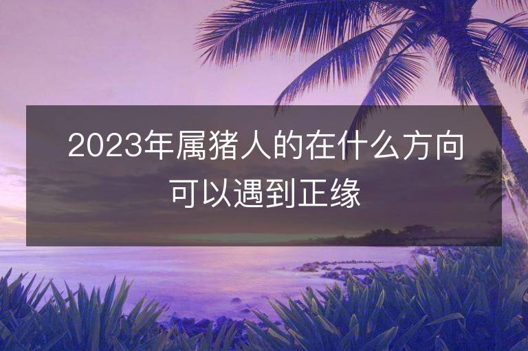 2023年属猪人的在什么方向可以遇到正缘