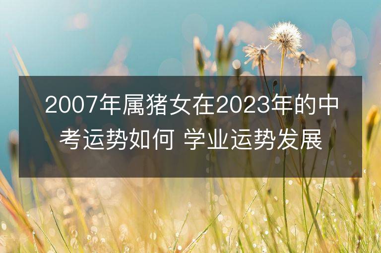 2007年属猪女在2023年的中考运势如何 学业运势发展