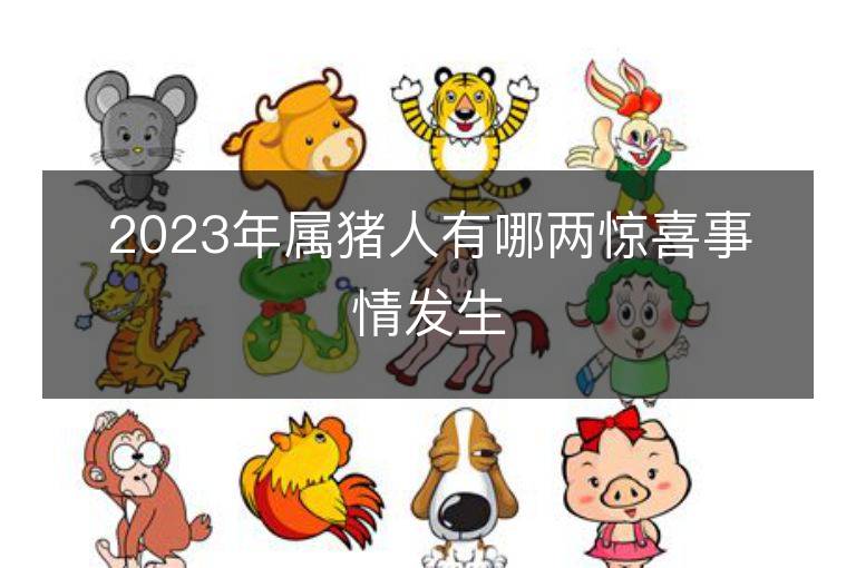 2023年属猪人有哪两惊喜事情发生