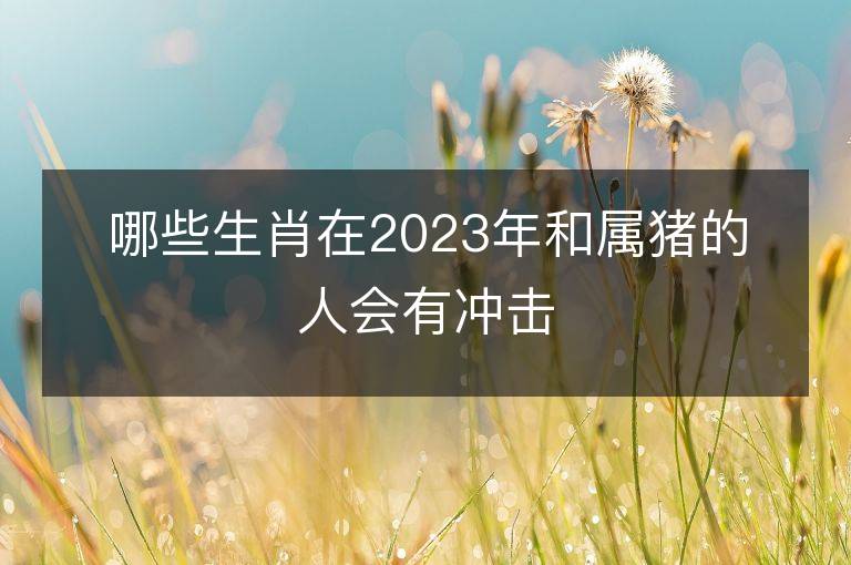 哪些生肖在2023年和属猪的人会有冲击