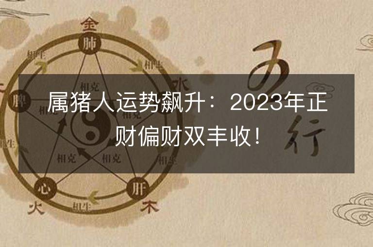 属猪人运势飙升：2023年正财偏财双丰收！