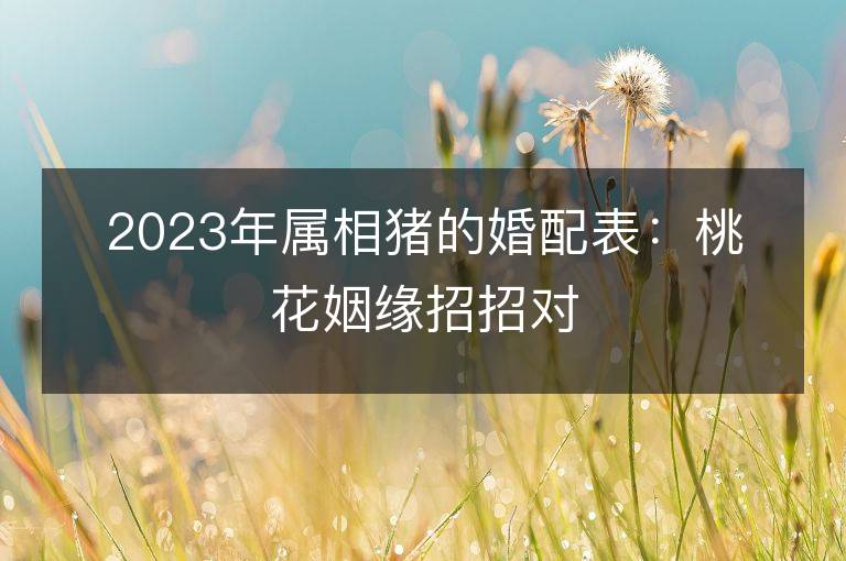 2023年属相猪的婚配表：桃花姻缘招招对