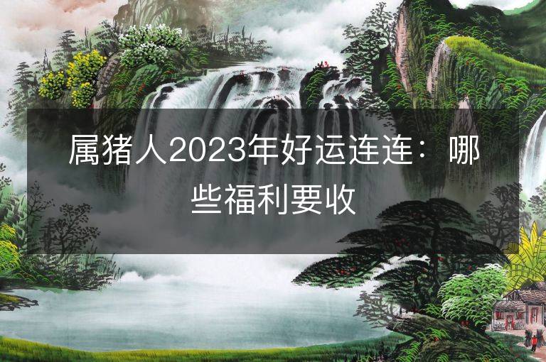 属猪人2023年好运连连：哪些福利要收