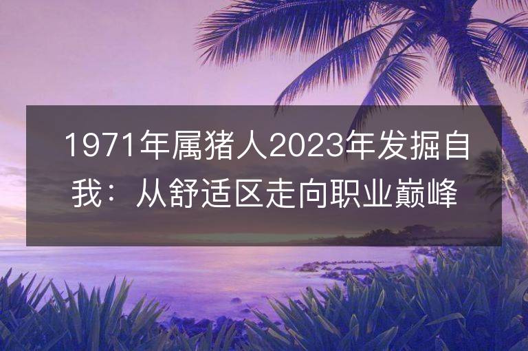 1971年属猪人2023年发掘自我：从舒适区走向职业巅峰！