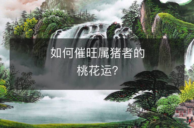 如何催旺属猪者的桃花运？