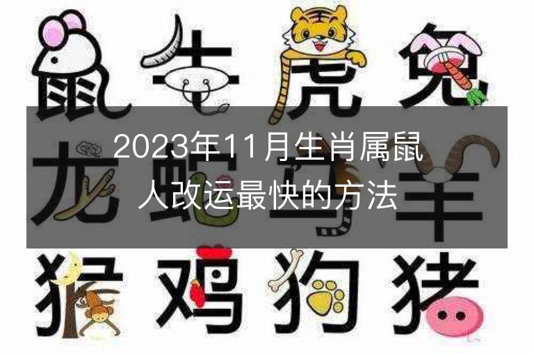 2023年11月生肖属鼠人改运最快的方法 改运招财法运