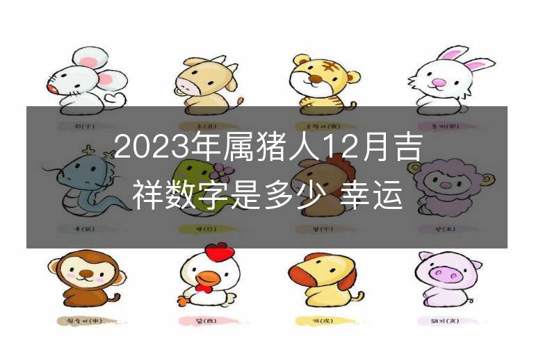 2023年属猪人12月吉祥数字是多少 幸运色是什么