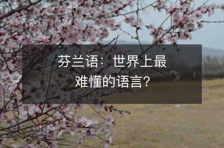 芬兰语：世界上最难懂的语言？