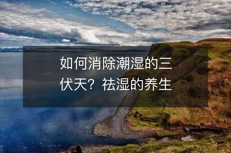 如何消除潮湿的三伏天？祛湿的养生小知识