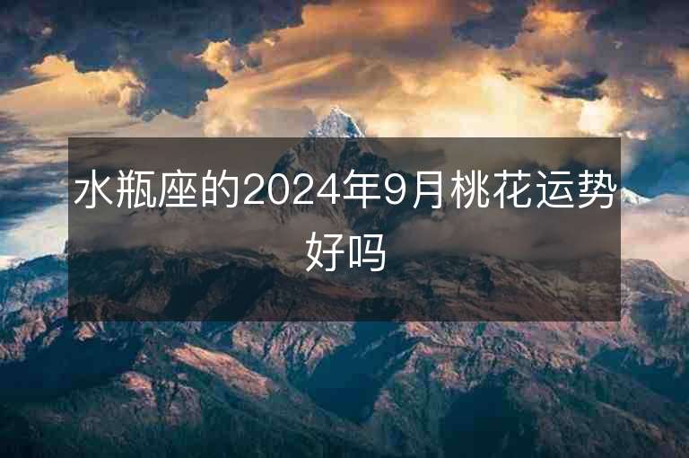 水瓶座的2024年9月桃花运势好吗