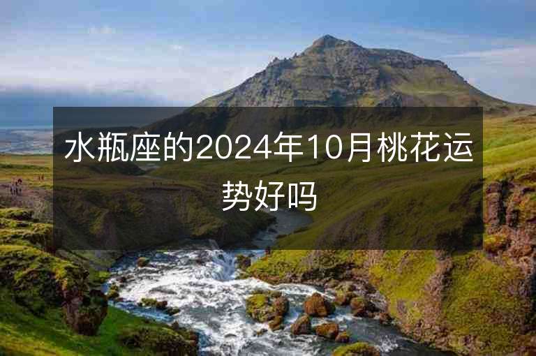 水瓶座的2024年10月桃花运势好吗