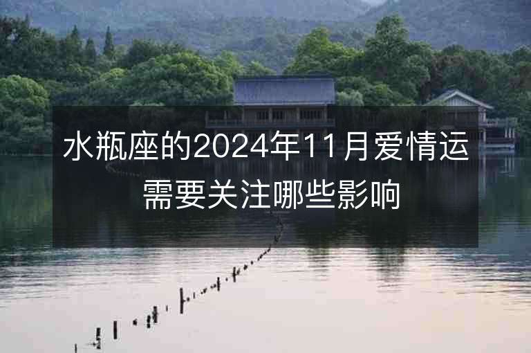 水瓶座的2024年11月爱情运 需要关注哪些影响