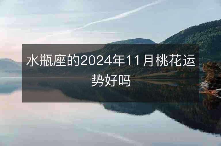 水瓶座的2024年11月桃花运势好吗