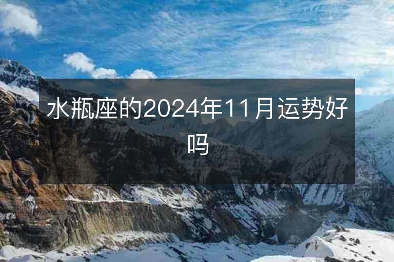 水瓶座的2024年11月运势好吗